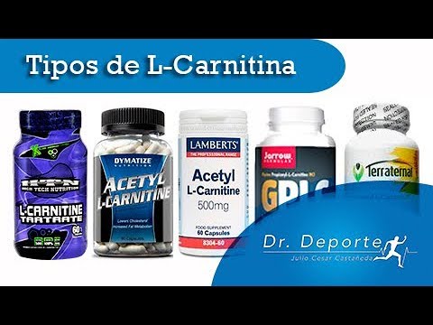 l carnitina liquida pros y contras