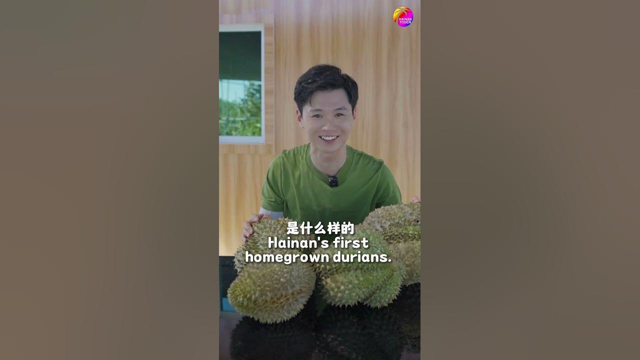 Hainan’s first durians are ripe for the picking YouTube