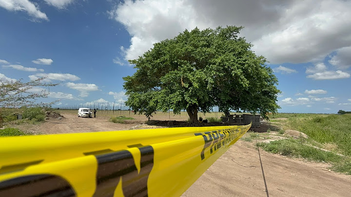 #envivo DÍA 312: NAVOLATO SIGUE BAJO EL ASEDI0 DE LA INSEGURIDAD