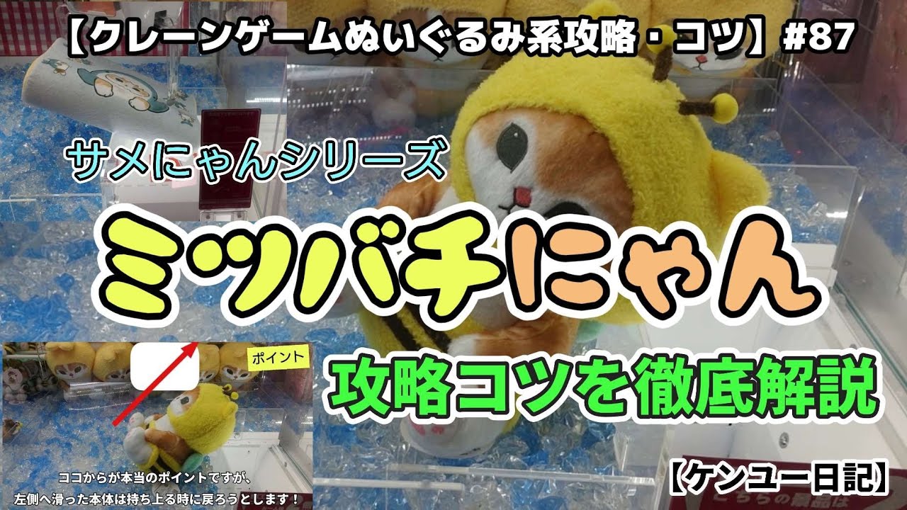 サメにゃんシリーズ、ミツバチにゃん！成功と失敗を徹底的に解説します