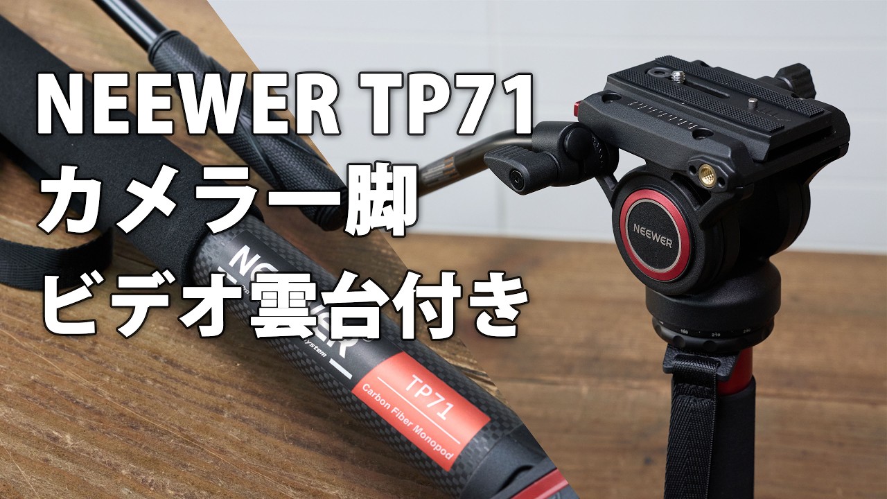 NEEWER TP71 172cm Professional Camera Monopod with Video Head