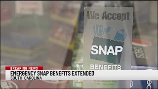 Gov. McMaster, DSS extend emergency SNAP supplements to end of year