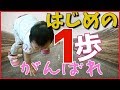 【2か月間完全密着!!靴嫌い克服したよ】初めて立った日~靴を履いて歩くまで 1歳1ヶ月の赤ちゃん みはるんchannel