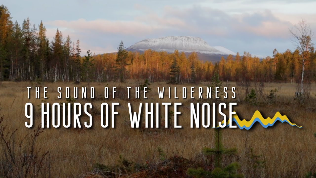 9 Hrs Natural White Noise of the Wind of the Wilderness - Hovärken - Lofsdalen - Sweden