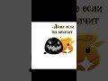 Извините я плохо делаю анимации Насчёт флуда писать в ЛС LluBacuk или EGORDANJI в тг Slime Извините я плохо делаю анимации Насчёт флуда писать в ЛС LluBacuk или EGORDANJI в тг Slime