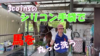 【乗馬】3coins　話題のシリコン手袋で馬を丸洗い。