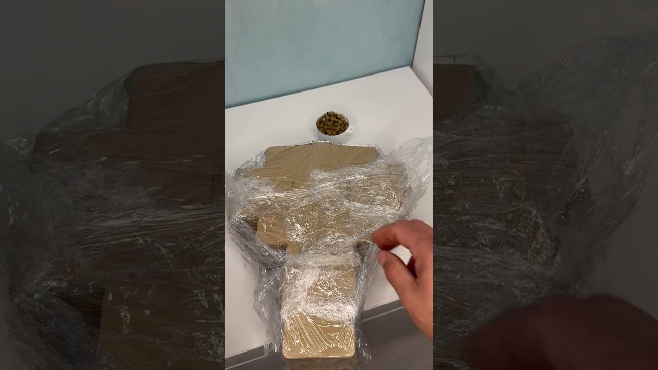 Сезон продажу 2025-2026 розпочато.