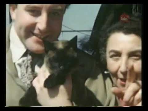 Living Famously Peter Sellers 2003 Documentary
