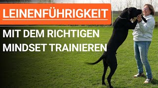 🐕 Mit dem richtigen Mindset die Leinenführigkeit beim Hund trainieren ➡️ Praxisvideo 🐕✔️ by Stephanie Salostowitz - Online Hundetraining 12,637 views 1 month ago 22 minutes