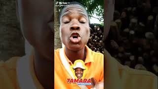 Fun Time Tamara Production