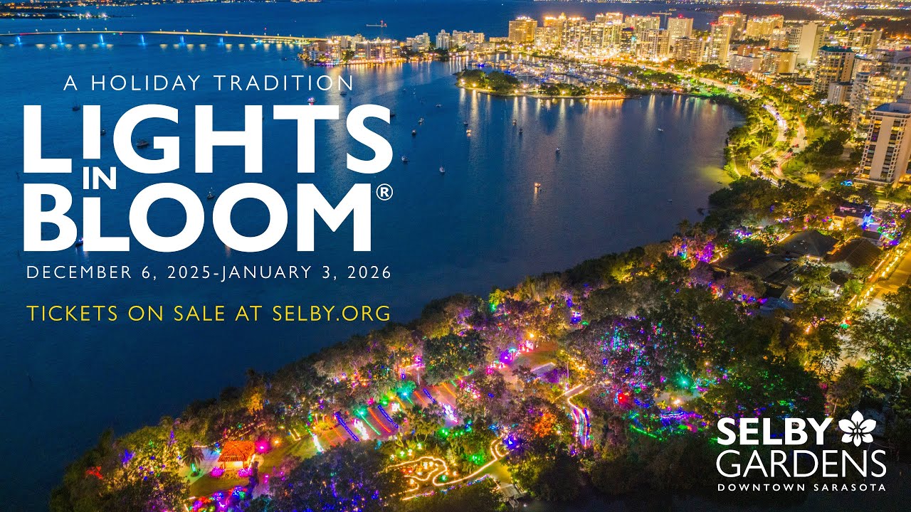 Must-visit holiday experience: Lights in Bloom illuminates