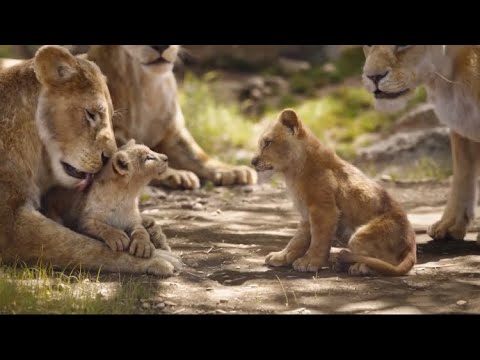 The Lion King 2019 - Bath Scene