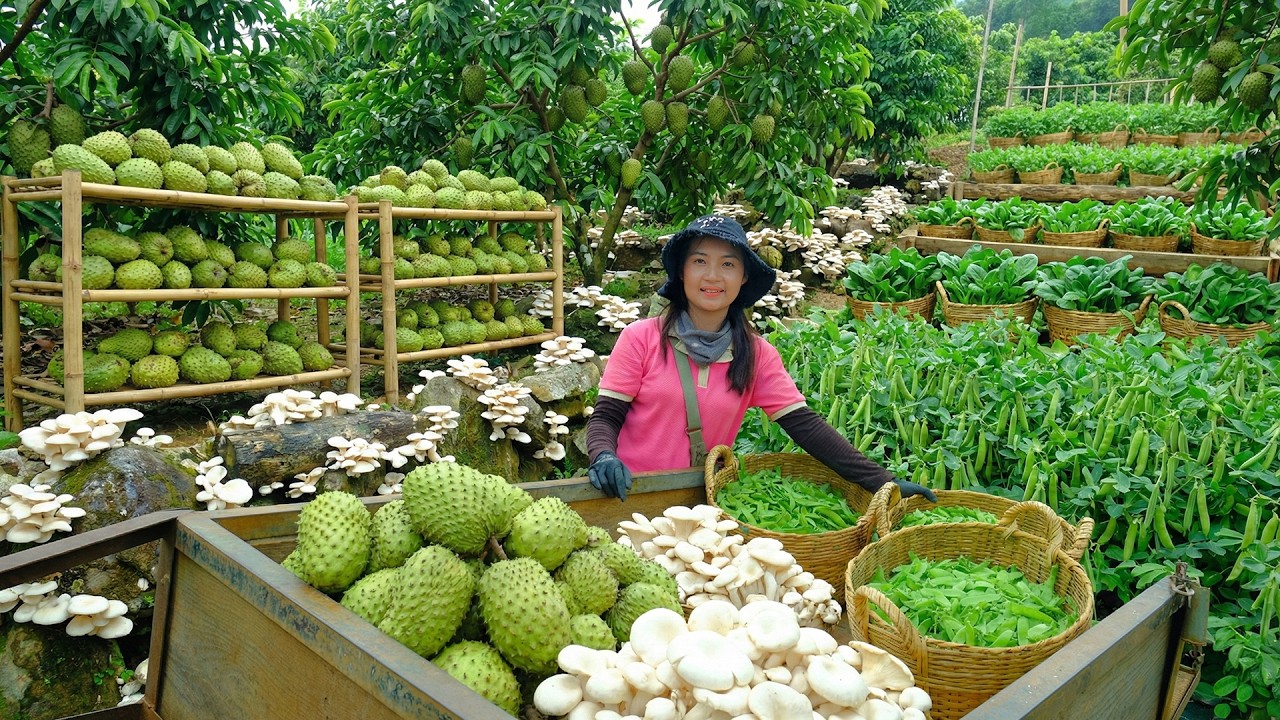Relax With Harvest: Snow Peas, Mushrooms, Spinach, Water Spinach, Soursop, Eggplant...