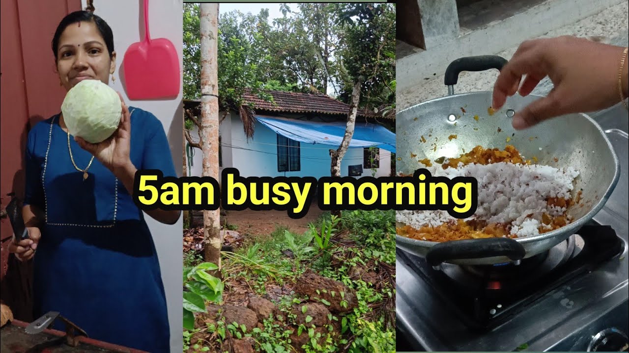 അല്ലെങ്കിൽ തന്നെ പേടിച്ചു ആണ് ഇരുന്നത് ഇപ്പോൾ 😂/Daily vlog 