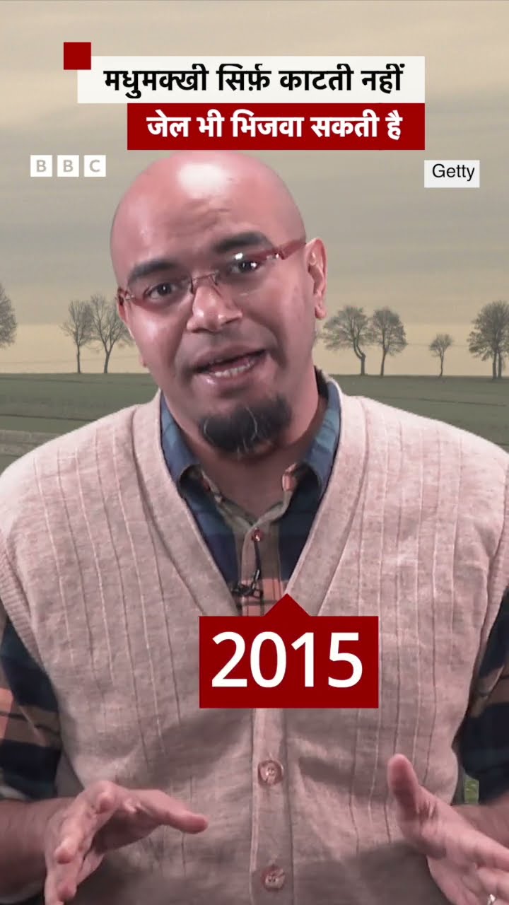 मधुमक्खी सिर्फ़ काटती नहीं,जेल भी भिजवा सकती है #honeybee #shorts  (BBC Hindi)
