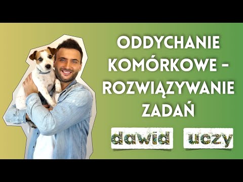 Wideo: Co stymuluje fosforylację oksydacyjną?