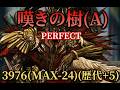 嘆きの樹(A) 3976(MAX-24)(歴代+5) PERFECT