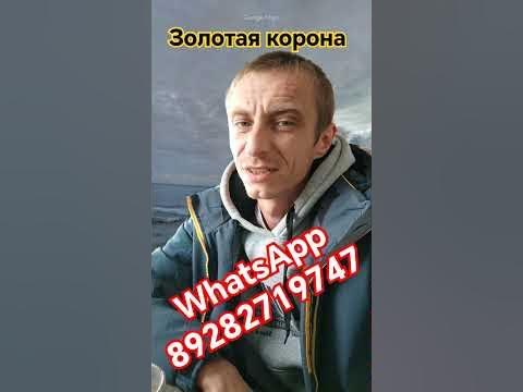 как не платить заем. обязательно лайк. #мкк #долги #заем #займ золотая ...