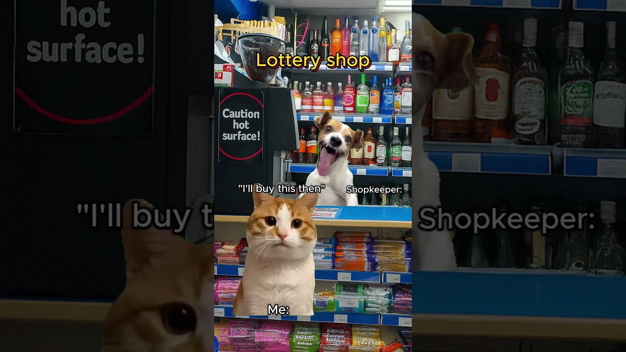 CAT MEMES When You Have Superpower Catmemes Relatable