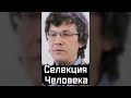 Селекция Человека | Александр Марков