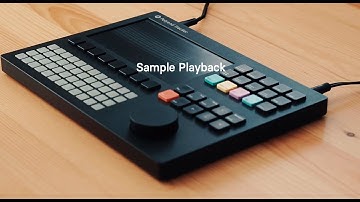 Polyend Tracker Tutorial - Sample Playback