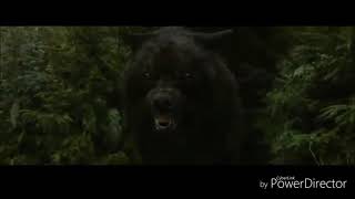 Twilight Wolves Imagine dragons (Sam Tsui)