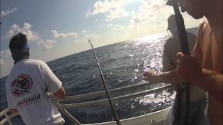 Tuna Popping with Black Hole 106N Surf Rod on BIG E, May 2012