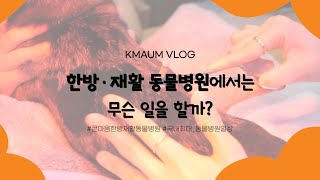 한방재활 동물병원에서는 무슨일을 할까?🤔?ㅣ부산동물병원ㅣ해운대동물병원ㅣ큰마음동물메디컬센터ㅣ큰마음한방재활동물병원