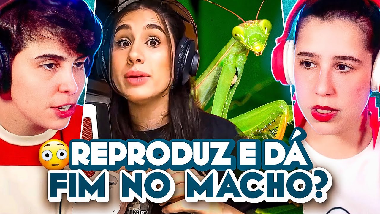 ELAS REPRODUZEM E DÃO FIM NO MACHO | ThazzB Hour