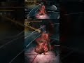 1 Minute Bosses Part 68 #eldenring misbegotten #crusader