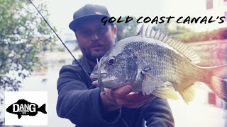 Gold Coast Canal Fishing / land based google maps.