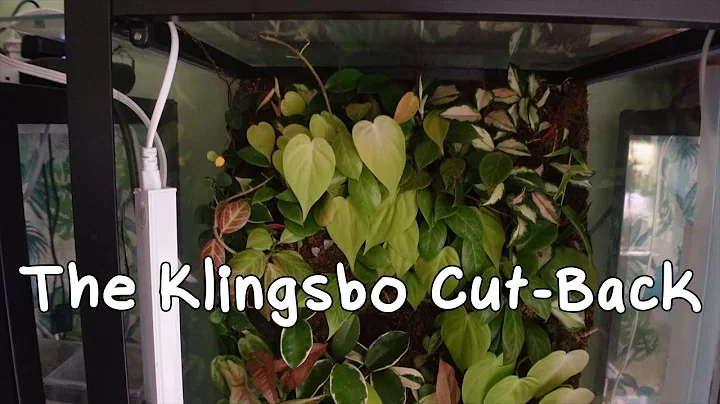 Cutting Back the Klingsbo: Hilda the "Hot Mess" Ge...