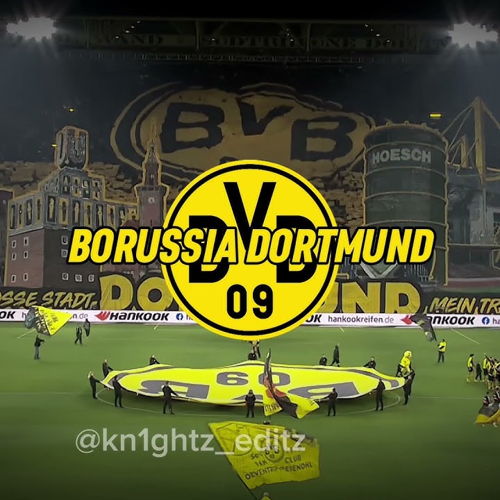 german ultras is crazy #shorts #edits #germany #bundesliga #bayern #dortmund #reels #fypシ゚