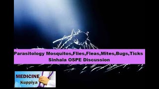 Parasitology Mosquitos,Flies,Fleas,Mites,Bugs,Ticks Sinhala OSPE Discussion Flies And Fleas