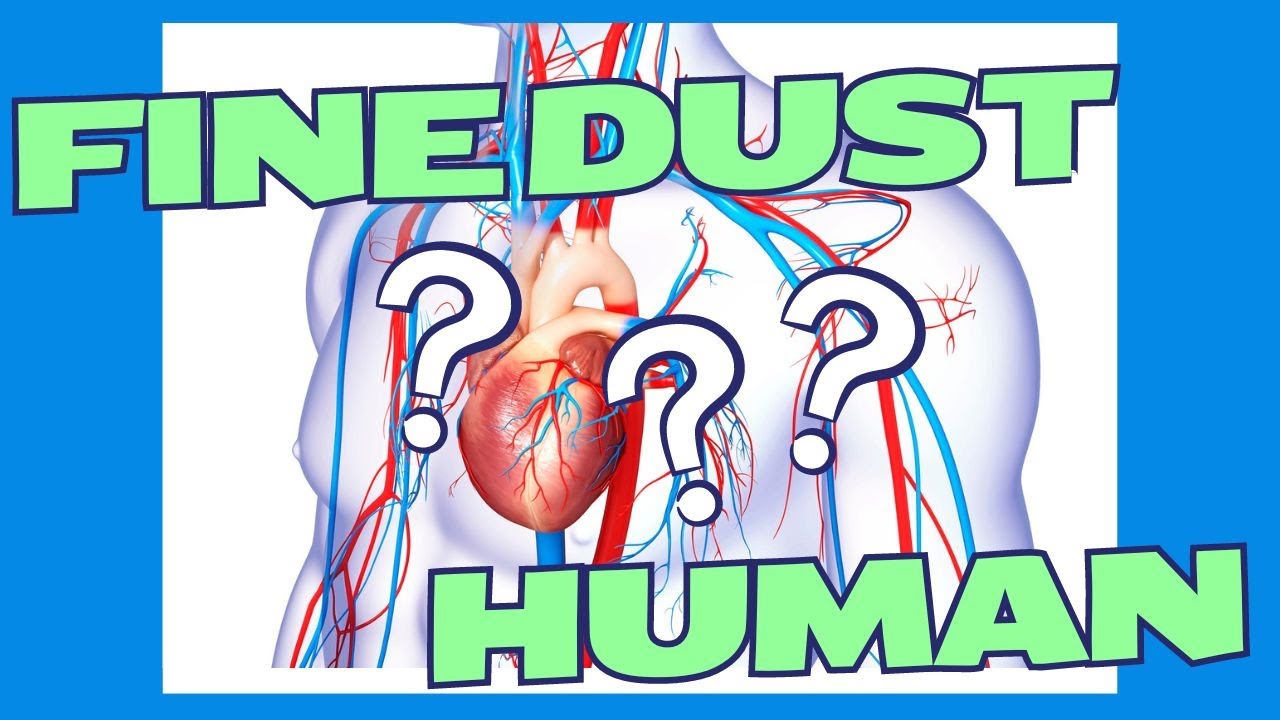 Does the human body and dust have a relationship? - YouTube