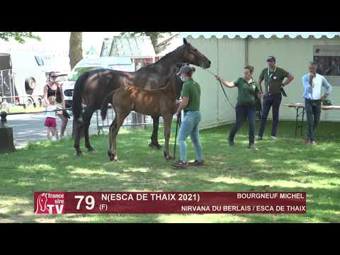 Sprinter Sacré Show 2021 : Lot 79 - N.21 Esca de Thaix