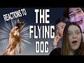 Doggo Video
