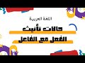 حالات تأنيث الفعل مع الفاعل 