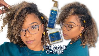 The Mane Choice NEW &#39;h2OH! Hydration Therapy Collection&#39; Honest DETAILED Review!