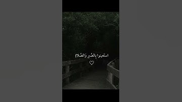 فاذكروني أذكركم واشكروا لي ولا تكفرون | سورة البقرة | القارئ اسلام صبحي 🍂.