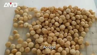 AMD Macadamia Kernel Color Sorting Machine With Deep Learning AI Technology