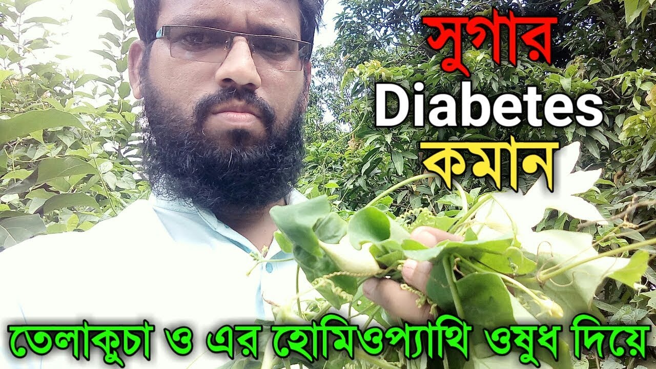 সুগার বা ডায়াবেটিস কমানোর ঘরোয়া উপায় তেলাকুচা দিয়ে | Diabetes in bangla home & homoeopathy