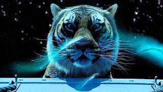 Life of Pi.Magic Ocean.Жизнь Пи.Магический океан.