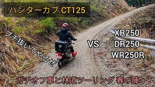 【ハンターカブ CT125】ガチオフ車と爆速フラット林道ツーリング 春の陣