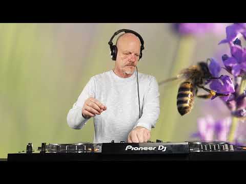 The Techno Feeling Of Sun Flowers And Bees Melodic Hypnotic Techno Set