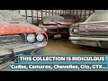 BARN FINDS| A SECRET Stash of Muscle Cars