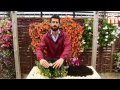 How to plant an easy fill hanging basket for winter - Thompson & Morgan