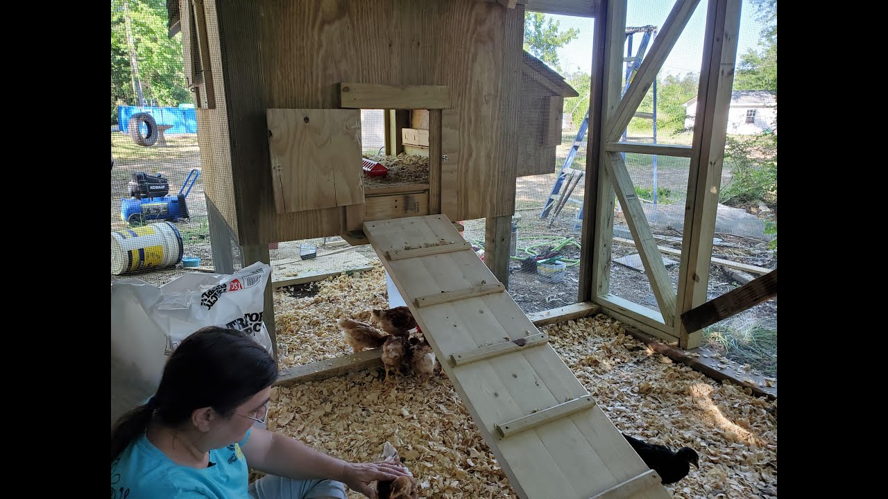 The Chicken Coop is Done