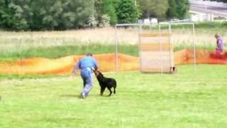 NE Beauceron Ring 2008