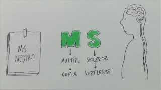 MS (Multipl Skleroz)  Nedir?